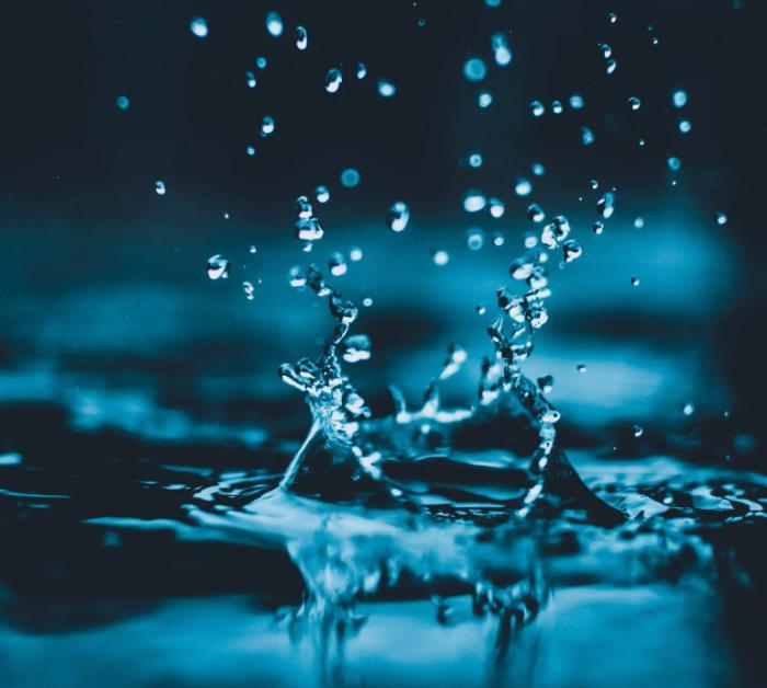 1656382332311278.jpg 15.jpg