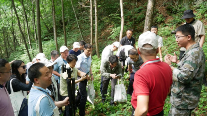 首屆野山參大會(huì)隆重召開（0715-加圖）4102.png